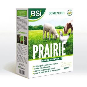 BSI Semences de Gazon - Prairie - Haute qualité - Grande Surface - Jusqu'a 375m² - 7,5Kg