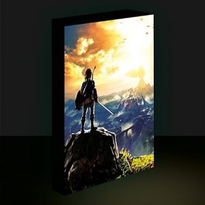 Pyramid International Cadre enfant Pyramid Legend Of Zelda Into The Wilds