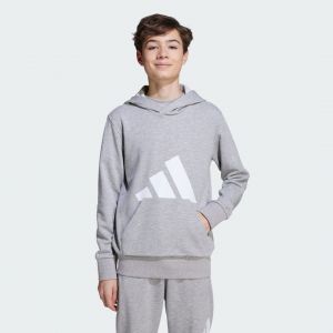 Adidas Sweat-shirt à capuche Essentials Enfants