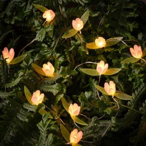 Lights4Fun Guirlande Lumineuse Micro LED d'Extérieur à 20 Roses Miniatures