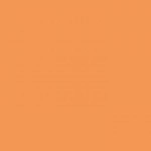 Pollen 25 cartes de correspondance 210 g/m&sup2; (135 x 135 mm)