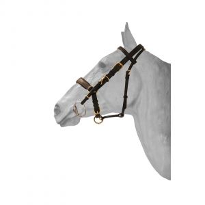 Bridon équitation muserolle combinée cuir anatomique HFI