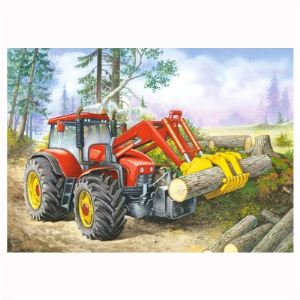 Castorland Puzzle Nettoyage de la forêt 60 pièces