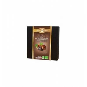 Saveurs et Nature Coffret 16 escargots praliné bio enrobés chocolat noir et lait 190 g