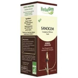 Image de Herbalgem Sanogem bio - 50 ml