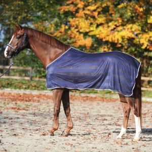 Image de Couverture anti-mouches pour cheval Kavalkade Stripe