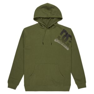 DC Shoes Solid Lefty Ph Sweat à capuche vert