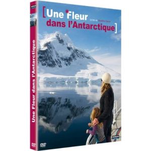 Une Fleur dans l'Antarctique