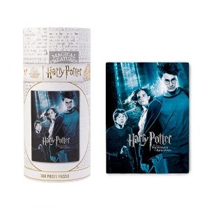 Grupo erik Puzzle 500 Pièces Harry Potter et le Prisonnier d'Azkaban | Puzzle Adulte et Enfant, Affiche Harry Potter