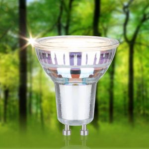 Paulmann R&eacute;flecteur LED GU10 - Eco-Line - 450Lm - 3000K - 2,5W - Argent