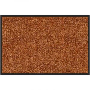 Tapis de Porte Paillasson d'entr&eacute;e Rhine Marron 120 x 180 cm