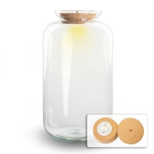 Everspring Terrarium fles met verlichting in kurk en pot. Plante verte type Terrarium fles met verlichting in kurk, livr&eacute;e en pot, id&eacute;ale pour int&eacute;rieur lumineux