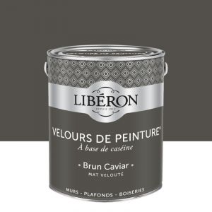 Image de Liberon Peinture brun caviar mur, boiserie, radiateur velours 2.5 l