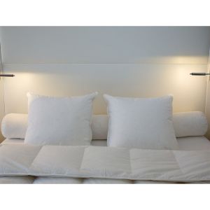 Castex Traversin canard 30% duvet (160 cm)