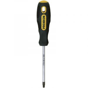 Flex dot schroevendraaier Ttx 15 X 100 [DIY and Tools]