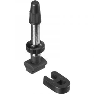 DT Swiss Valve pour kit tubeless/tricon VTT Valves Tubeless