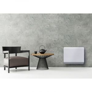 Deltacalor Radiateur électrique double système de chauffe 1000W Menec blanc