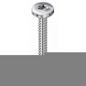 VisWood Vis autoperceuses tête cylindrique Torx - 3,9x22 mm - 500 pièces