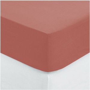 Image de Atmosphera Drap Housse "Intérieur" 160x200cm Blush