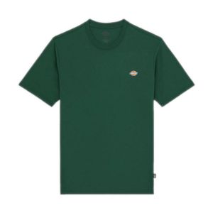 Dickies T-shirt mapleton
