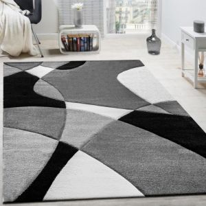 Image de Paco Home - Créateur Tapis Moderne Géométrique Motif Découpe Des Contours En Noir Blanc 200x290 cm