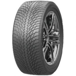 Winter Master D1 - 225/65 R17 106H
