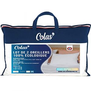 COLAS NORMAND - Lot de 2 Oreillers Eco-Responsable - Moelleux - 45x70cm - Enveloppe & Garnissage Issu de Bouteilles recycl&eacute;es - Microfibre - Doux & Soyeux - Finition soign&eacute;e - Fabrication fran&ccedil;aise