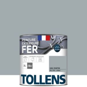 Tollens Peinture extérieure fer brillant gris fenetre 2L