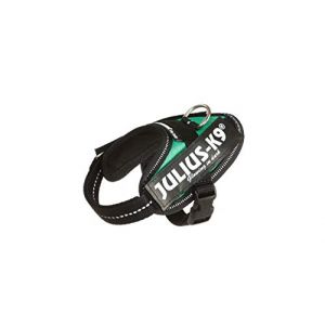 Image de Julius K9 Idc Harnais Power Logo, Taille Baby 1 Vert Pelouse 60 Gr