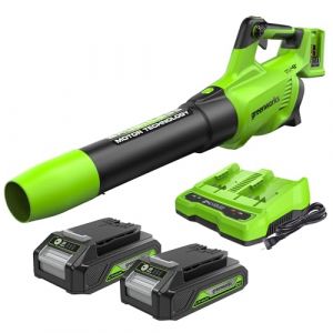 Greenworks 2x24V Souffleur à Batterie Axial de Feuilles Sans Fil avec Moteur Sans Balai, Fonction Turbo, 217 km/h, 16,4 m³/min, AVEC Deux Batteries 24V 2Ah et Chargeur, Garantie 3 Ans GD24X2ABK2X