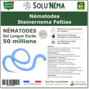 Solunéma - SOLUNEMA - Nématodes Steinernema Feltiae - 50 Millions