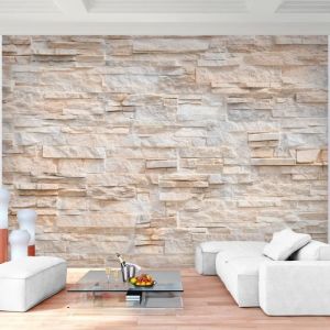 Runa art Papier Peint Intissé Tapisserie Mur de Pierre 308x220 cm (6,8 M2) - 7 Bandes Faciles à Coller 9082010a