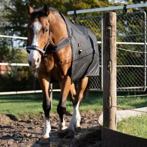 Couverture d'écurie pour cheval 2en1 d'extérieur et de marcheur Kavalkade Halifax