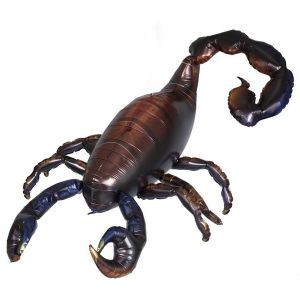Ruedelafete Ballon alu Scorpion Halloween 126cm