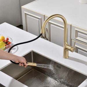 SUMERAIN Mitigeur de Cuisine avec Douchette Extractible Double Fonction Bec Monotrou en Acier Inoxydable - Finition Or Bross&eacute;
