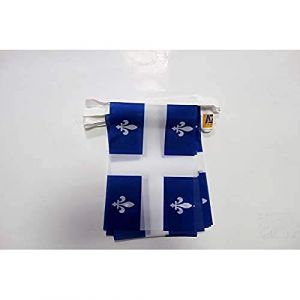 AZ FLAG - Guirlande Drapeau Qu&eacute;bec - 6 M&egrave;tres Avec 20 Fanions Qu&eacute;b&eacute;cois - Canada De 21x14 cm - Petits Drapeaux 100% Polyester - 60g