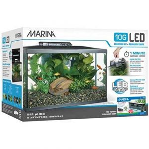 Image de Marina 15256 - Kit D'Aquarium Avec Illumination LED 10G, 38 L