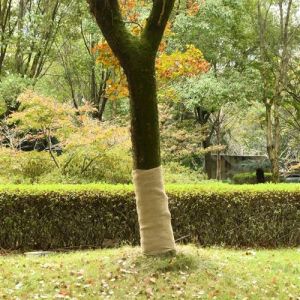 VidaXL Rouleau de jute 1x10 m 100 % jute 200 g/m²