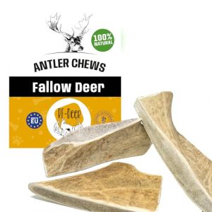 RF - Deer Bois de Daim, Cerf | Jouets à mâcher naturels pour Chiens | Mâcher des os pour Le Plaisir et Les Soins dentaires
