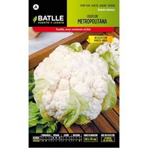 Batlle Choux-fleurs métropolitain (Mar-Ab)