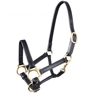 Licol pour cheval Star