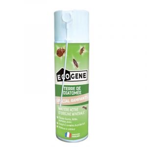 Ecogene Aérosol insecticide à base de terre de diatomée 500 ml