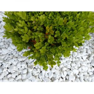 Image de Classgarden Galet Blanc Pure calibre 12-24 mm VRAC Big-Bag 12.50 M²