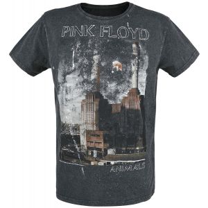 Image de Pink Floyd T-Shirt Manches courtes de - Animals - S &agrave; XXL - pour Homme - anthracite