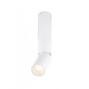 Globo Plafonnier LED luminaire éclairage métal aluminium spot blanc mobile