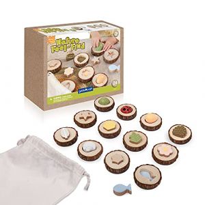 Guide craft Nature Feel and Find Jeu de 24 mémoires en Bois, XGC-G5061, Multicolore