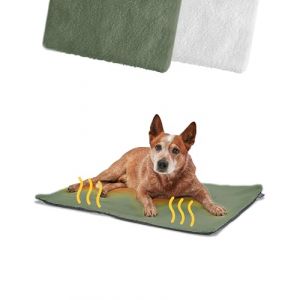 PiuPet Panier Chien Auto-Chauffant I 90x60cm I sans électricité I Tapis Chien I Innovant & écologique | Lit Chien (Vert)