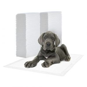 Iris Ohyama Alaise Pour Chien, Alèse Jetable 59x44 Tapis Educateur pour Chiot, Apprentissage de la Propreté, 5 Couches de Protection Anti-Fuite et Résistante (100 Pièces) - Pet Pad NS-100W