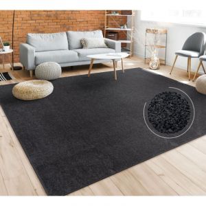 Paco Home - Tapis De Salon Poils Ras Chambre à Coucher Motif Monochrome Moderne Noir Gris 200 cm carré