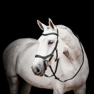 Bridons équitation avec rênes en caoutchouc Horseware Micklem 2